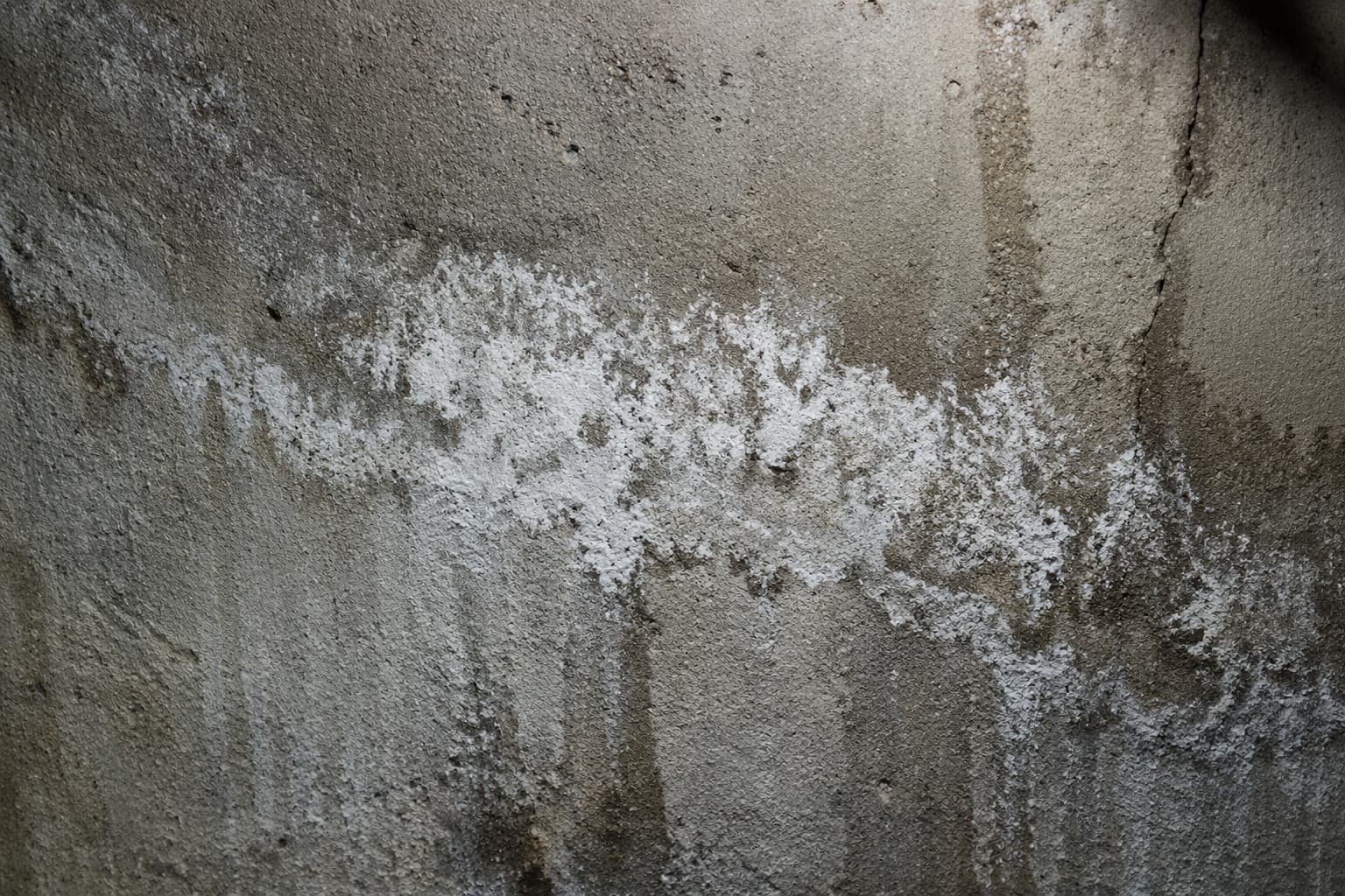 basement waterproofing signs